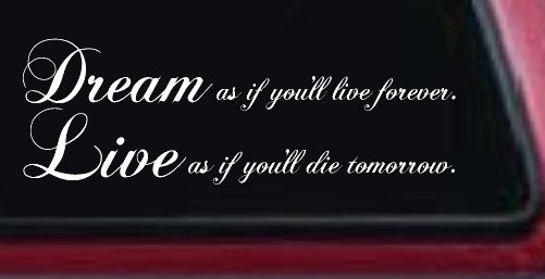 Dream as if youll live forever Car or Truck Window Decal Sticker