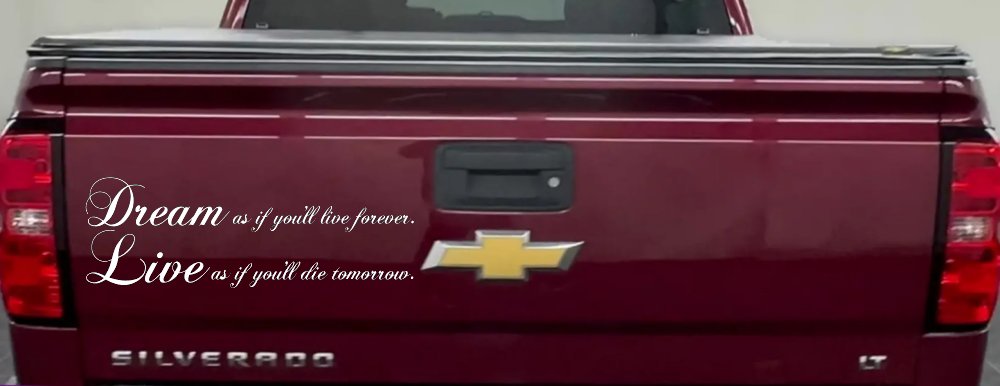 Dream as if youll live forever Car or Truck Window Decal Sticker