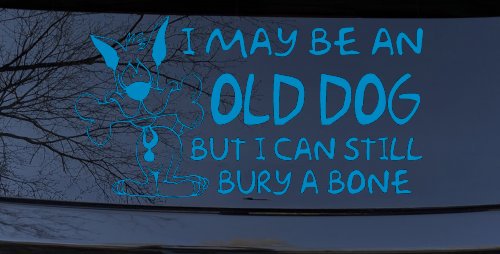 Funny I May Be An Old Dog But I Can Still Bury A Bone Car or Truck Window Decal Sticker (Blue)