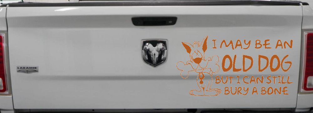 Funny I May Be An Old Dog But I Can Still Bury A Bone Car or Truck Window Decal Sticker (Nut Brown)