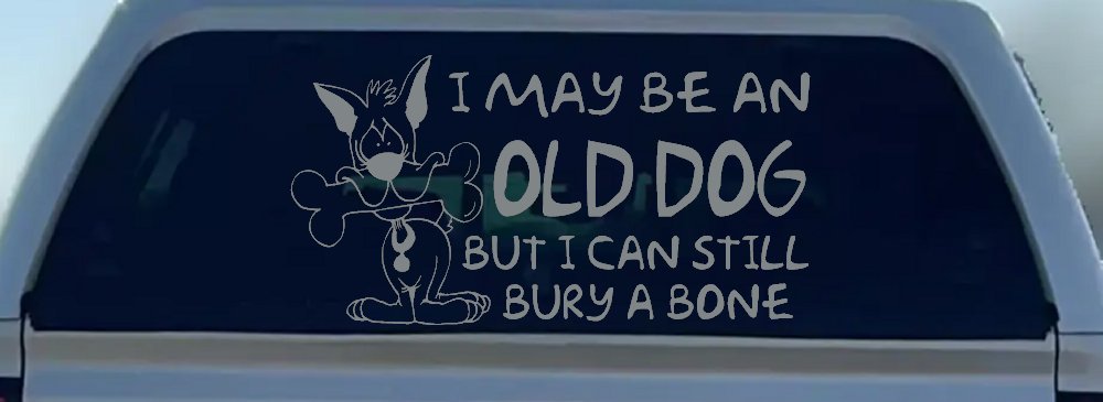 Funny I May Be An Old Dog But I Can Still Bury A Bone Car or Truck Window Decal Sticker (Telegrey)