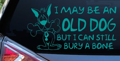 Funny I May Be An Old Dog But I Can Still Bury A Bone Car or Truck Window Decal Sticker
