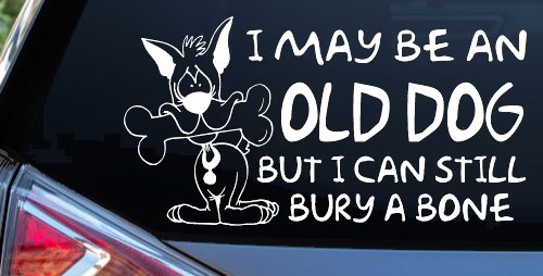 Funny I May Be An Old Dog But I Can Still Bury A Bone Car or Truck Window Decal Sticker (White)