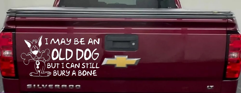 Funny I May Be An Old Dog But I Can Still Bury A Bone Car or Truck Window Decal Sticker (White)