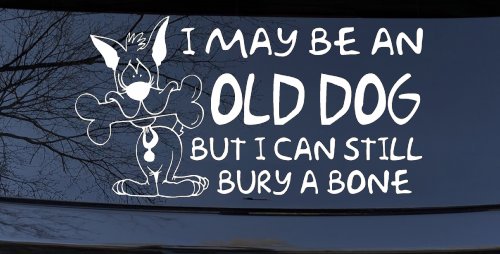 Funny I May Be An Old Dog But I Can Still Bury A Bone Car or Truck Window Decal Sticker (White)