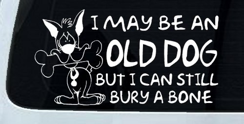 Funny I May Be An Old Dog But I Can Still Bury A Bone Car or Truck Window Decal Sticker (White)