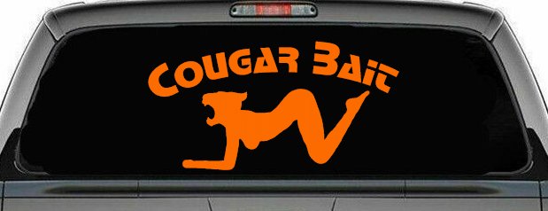 Cougar Bait Funny Car or Truck Window Decal Sticker (Orange)