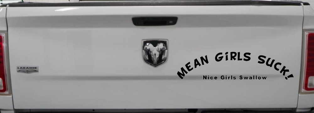 Mean Girls Suck Nice Girls Swallow Funny Car or Truck Window Decal Sticker
