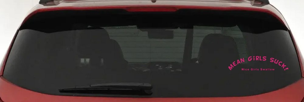 Mean Girls Suck Nice Girls Swallow Funny Car or Truck Window Decal Sticker