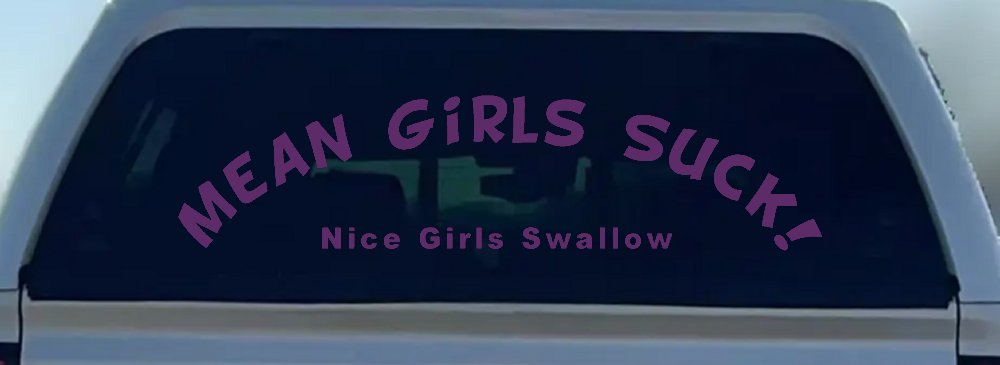Mean Girls Suck Nice Girls Swallow Funny Car or Truck Window Decal Sticker