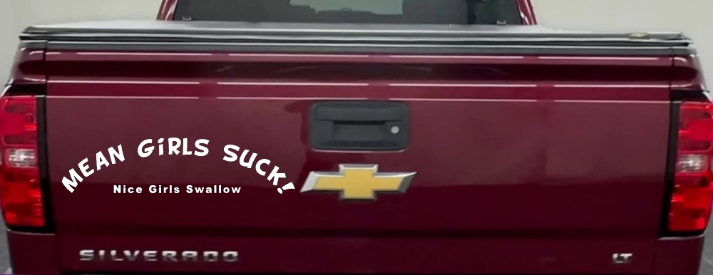 Mean Girls Suck Nice Girls Swallow Funny Car or Truck Window Decal Sticker