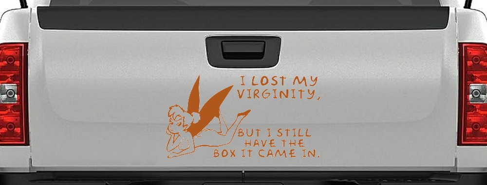 Funny Fairy Pixie I lost My Virginity But I Still Have The Box It Came In Car or Truck Vinyl Window Decal Sticker (Nut Brown)