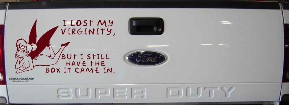 Funny I lost My Virginity But I still Have the Box It Came In Car or Truck Window Decal Sticker (Purple Red)