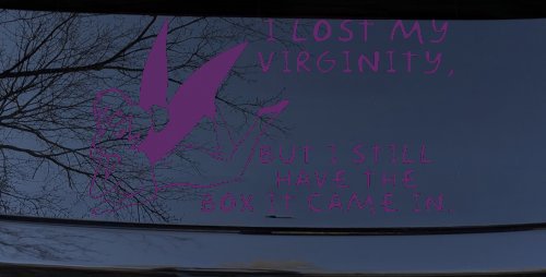 Funny I lost My Virginity But I still Have the Box It Came In Car or Truck Window Decal Sticker (Violet)