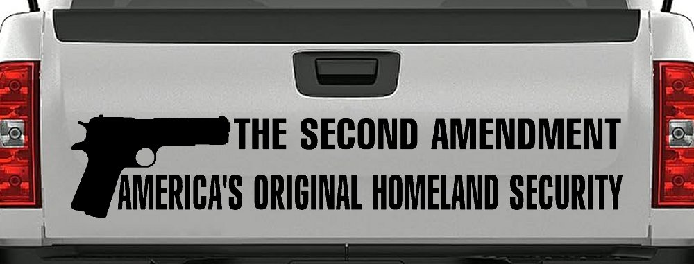 The 2nd Amendment America's Original Homeland Security Guns Car or Truck Window Decal Sticker