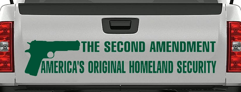 2nd Amendment Homeland Security Guns Car Truck Window Vinyl Decal Sticker (Dark Green)