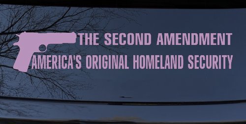 The 2nd Amendment America's Original Homeland Security Guns Car or Truck Window Decal Sticker (Lilac)