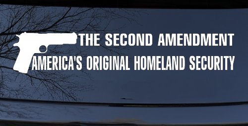 2nd Amendment Homeland Security Guns Car Truck Window Vinyl Decal Sticker (White)