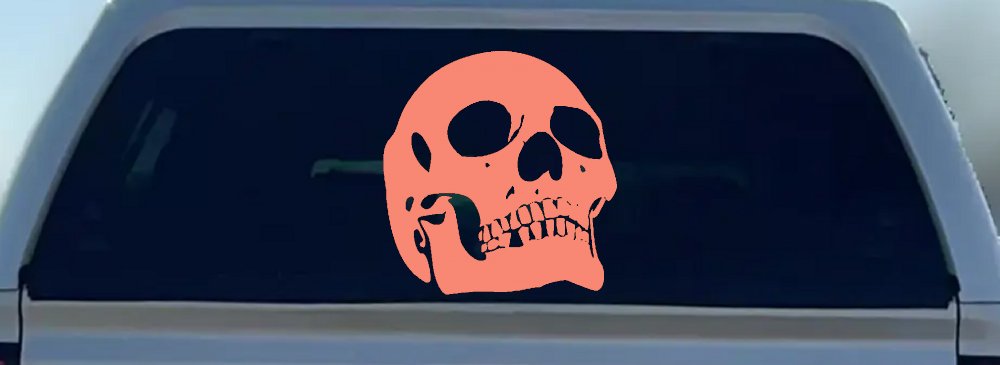 Skull Front View Skulls Car or Truck Window Decal Sticker