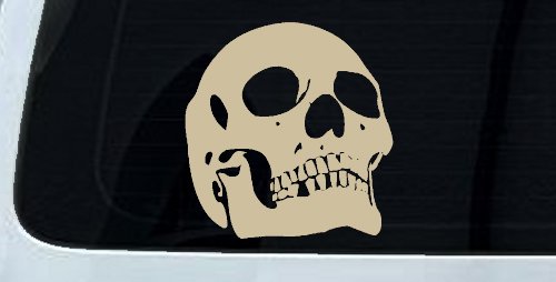 Skull Front View Skulls Car or Truck Window Decal Sticker