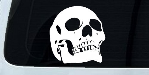 Skull Front View Skulls Car or Truck Window Decal Sticker