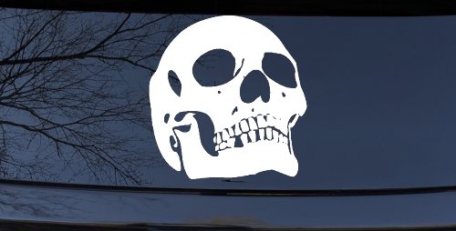 Skull Front View Skulls Car or Truck Window Decal Sticker