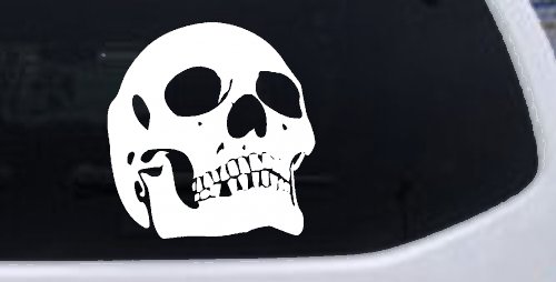 Skull Front View Skulls Car or Truck Window Decal Sticker (White)
