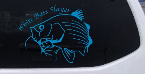 White Bass Slayer Fishing Car or Truck Window Decal Sticker (Blue)