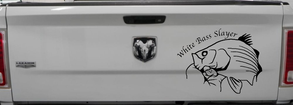 White Bass Slayer Fishing Car or Truck Window Decal Sticker (Matte Black)