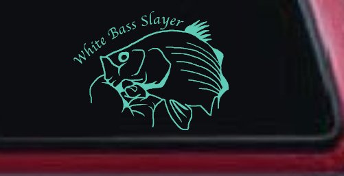 White Bass Slayer Fishing Car or Truck Window Decal Sticker (Mint)