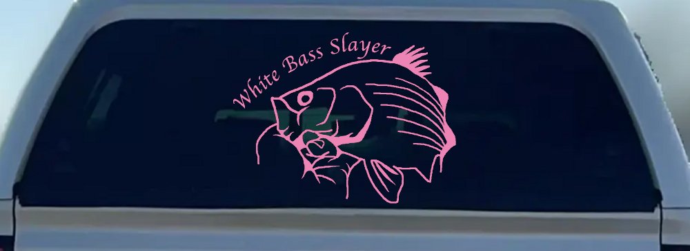 White Bass Slayer Fishing Car or Truck Window Decal Sticker
