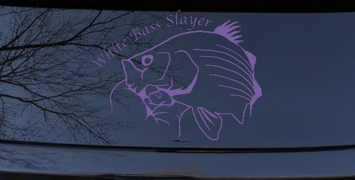 White Bass Slayer Fishing Car or Truck Window Decal Sticker (Purple)