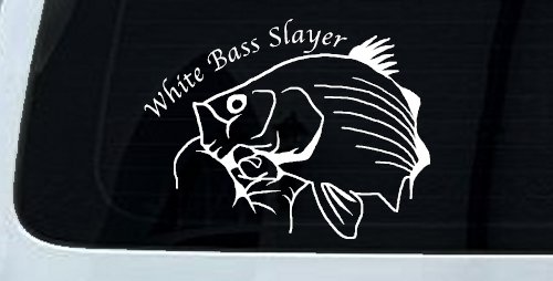 White Bass Slayer Fishing Car or Truck Window Decal Sticker