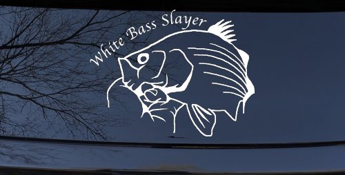 White Bass Slayer Fishing Car or Truck Window Decal Sticker (White)