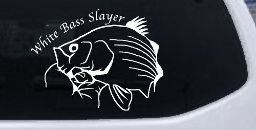 White Bass Slayer Fishing Car or Truck Window Decal Sticker