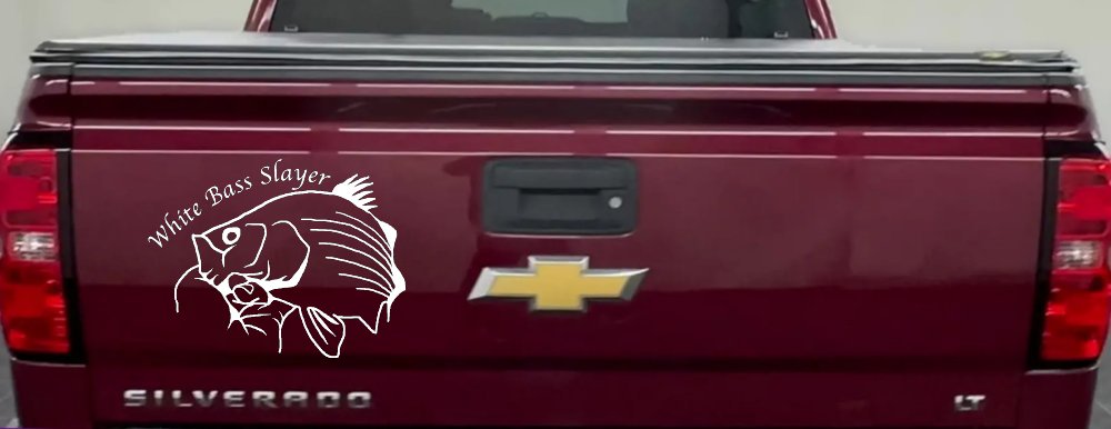 White Bass Slayer Fishing Car or Truck Window Decal Sticker (White)