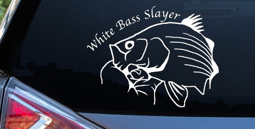 White Bass Slayer Fishing Car or Truck Window Decal Sticker (White)