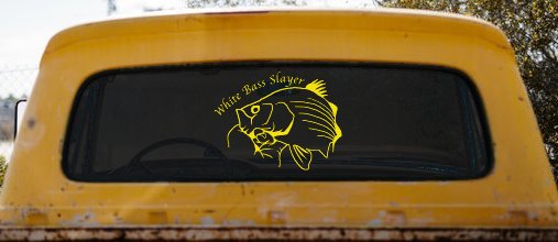 White Bass Slayer Fishing Car or Truck Window Decal Sticker (Yellow)