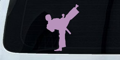 Karate Ninja Car or Truck Window Decal Sticker (Lilac)