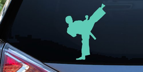 Karate Ninja Car or Truck Window Decal Sticker (Mint)