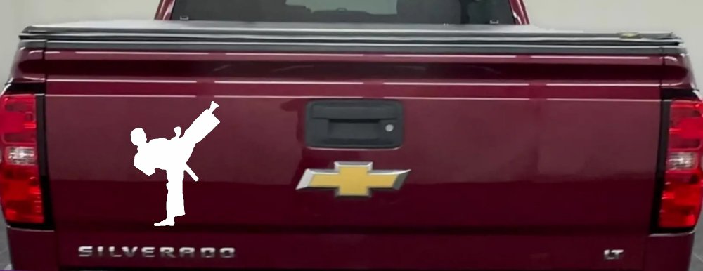 Karate Ninja Car or Truck Window Decal Sticker (White)