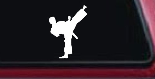 Karate Ninja Car or Truck Window Decal Sticker