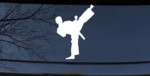Karate Ninja Car or Truck Window Decal Sticker