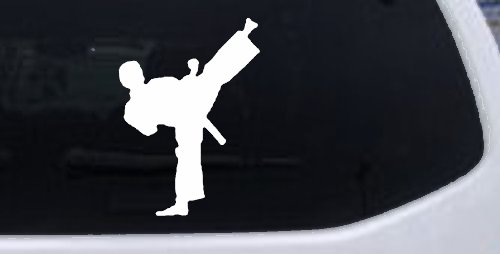 Karate Ninja Car or Truck Window Decal Sticker