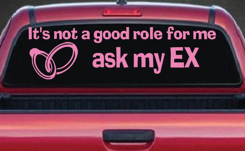 It's Not a Good Role For Me Ask my Ex Funny Marriage Car or Truck Window Decal Sticker (Pink)