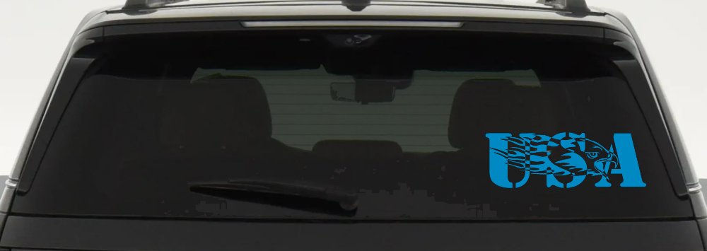 Flaming Eagle Head USA Military Car or Truck Window Decal Sticker