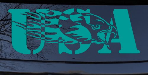 Flaming Eagle Head USA Military Car or Truck Window Decal Sticker (Turquoise)