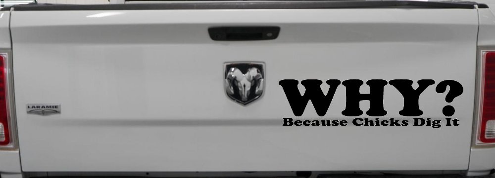 Why Because Chicks Dig It Funny Off Road Car or Truck Window Decal Sticker