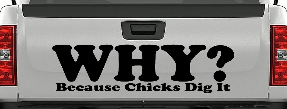 Why Because Chicks Dig It Funny Off Road Car or Truck Window Decal Sticker (Black)