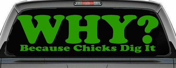 Why Because Chicks Dig It Funny Off Road Car or Truck Window Decal Sticker